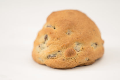 Chocolate Chip Walnut Cookie