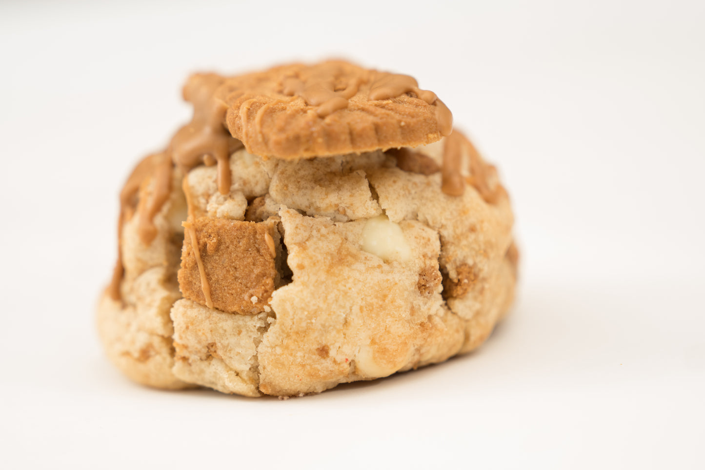 White Chocolate Chip Butter Biscoff Cookie