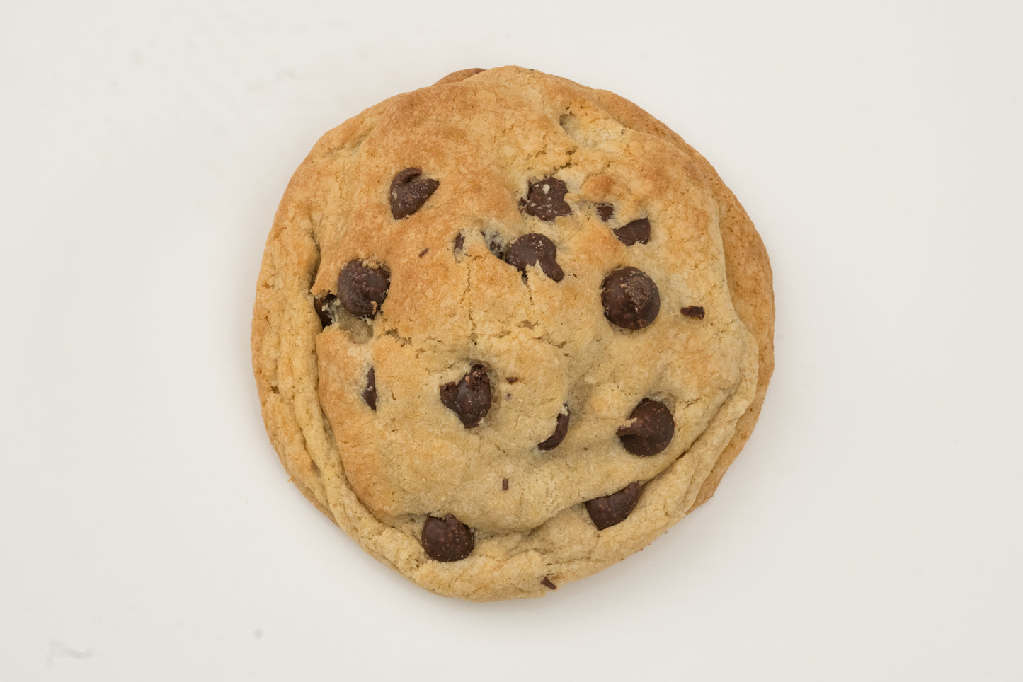 Chocolate Chip Cookie
